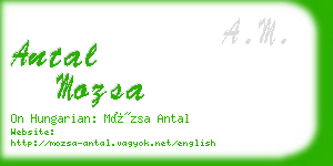 antal mozsa business card